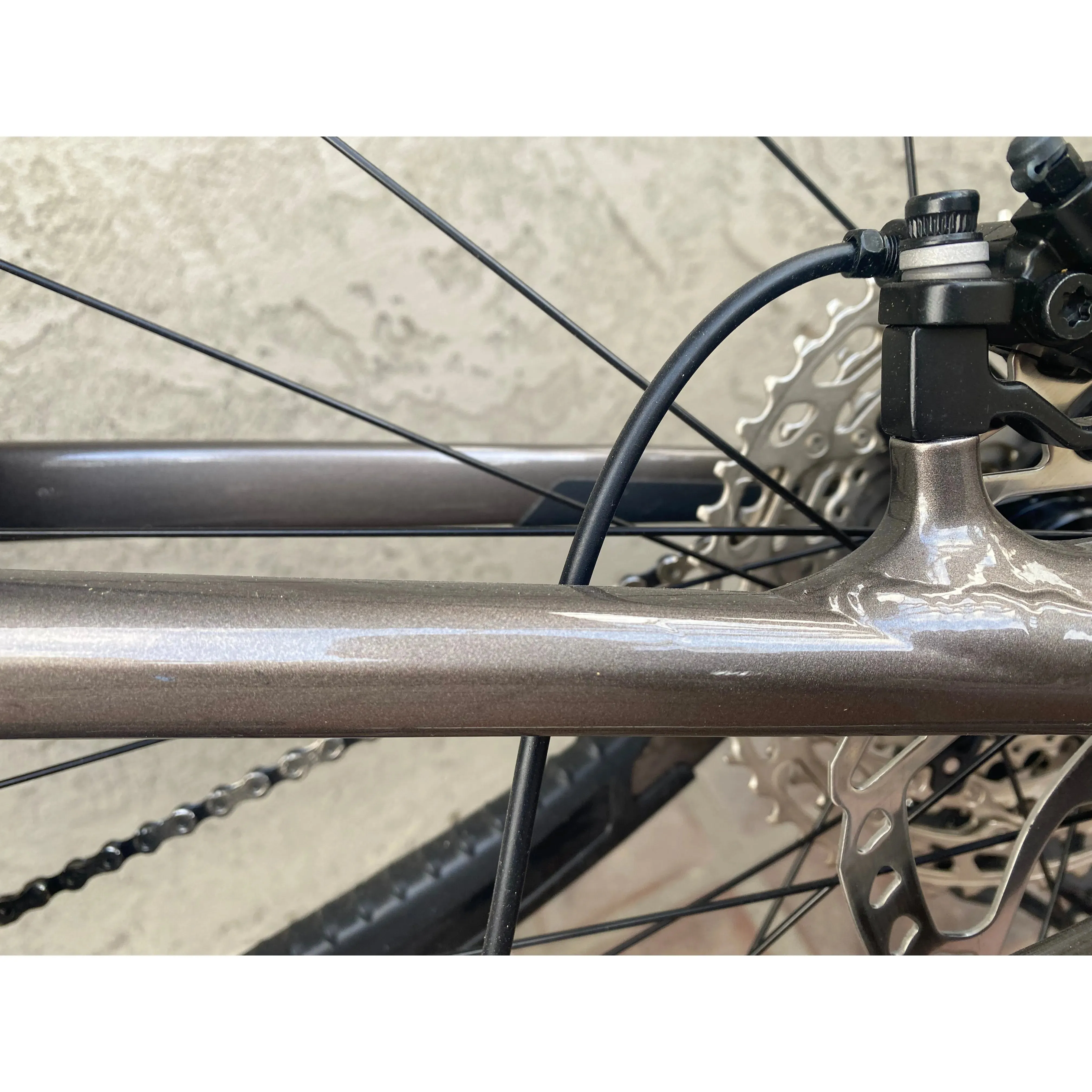 2023 Giant Reign 2 29  — BLEM