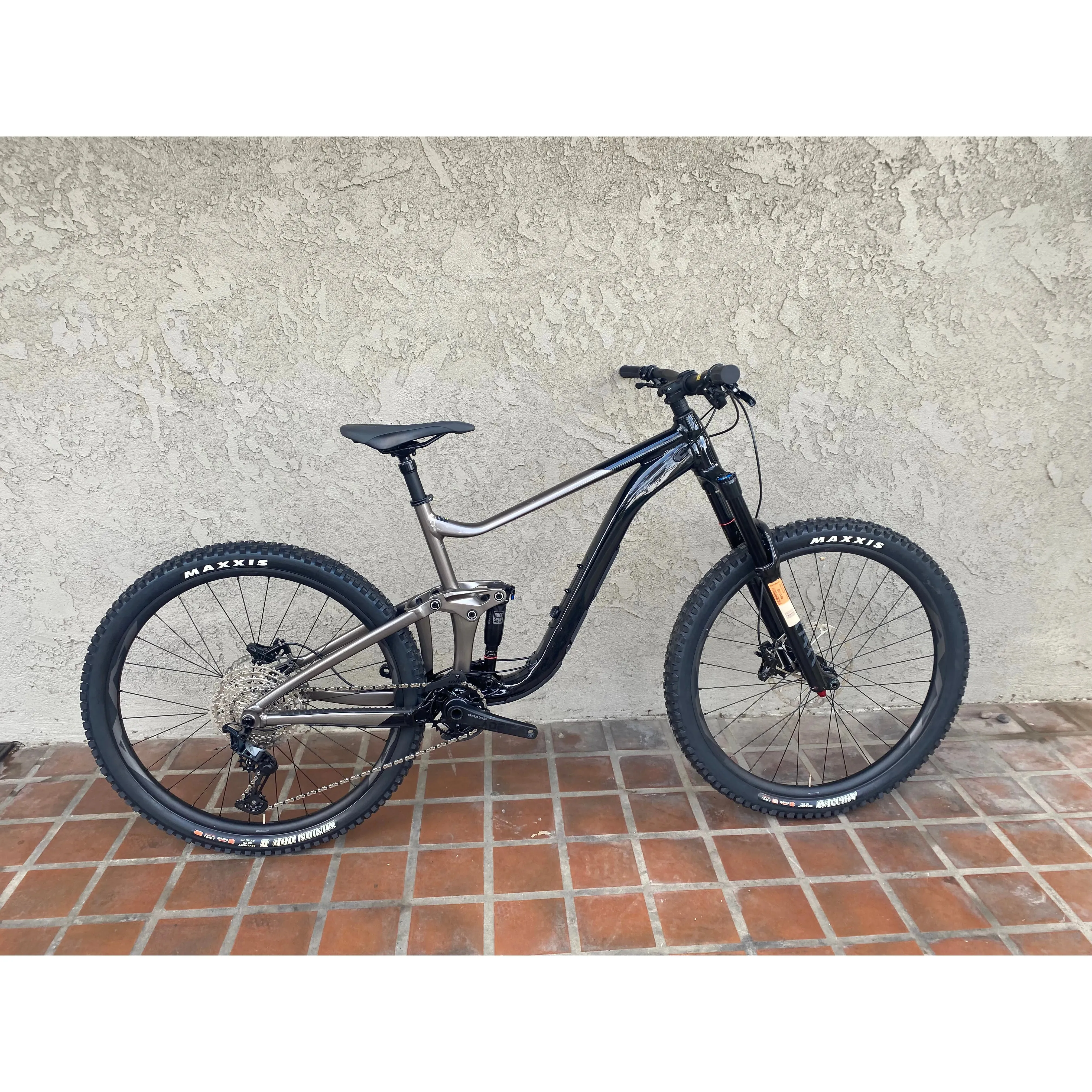 2023 Giant Reign 2 29  — BLEM
