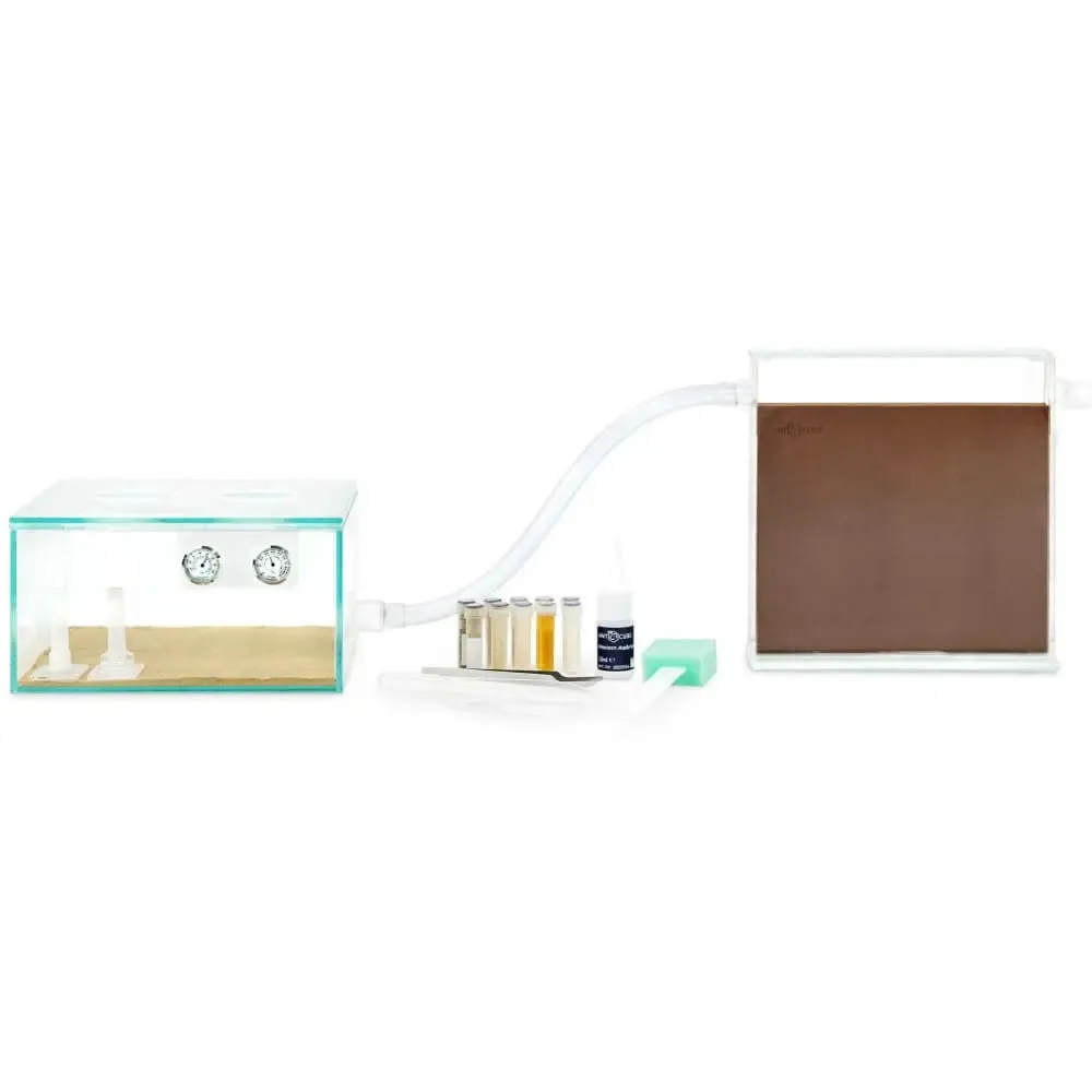 ANTCUBE Starter Set S – 20×20cm – Digfix