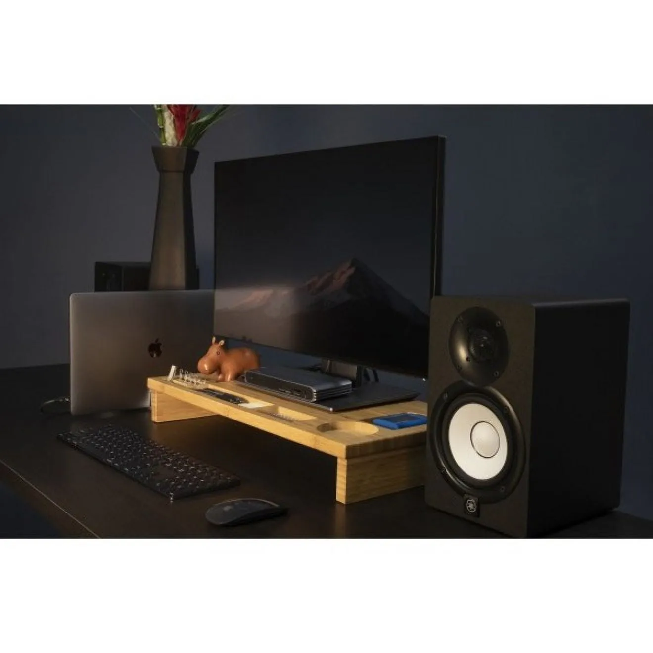 CalDigit USB-C Pro Dock (0.7m, Space Gray)