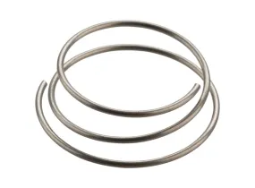 DT Swiss Star Ratchet Spring