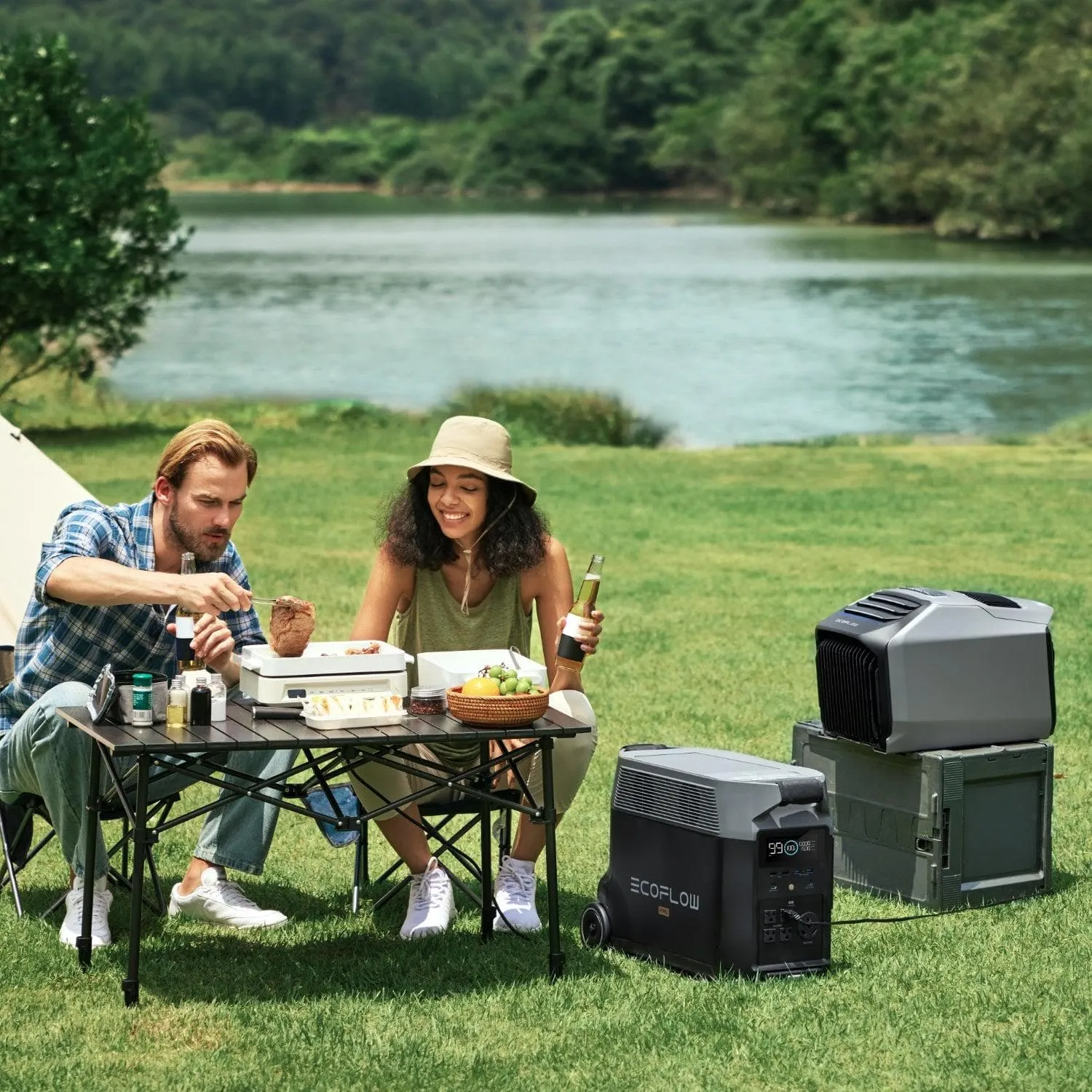 EcoFlow WAVE 2   EcoFlow DELTA Pro
