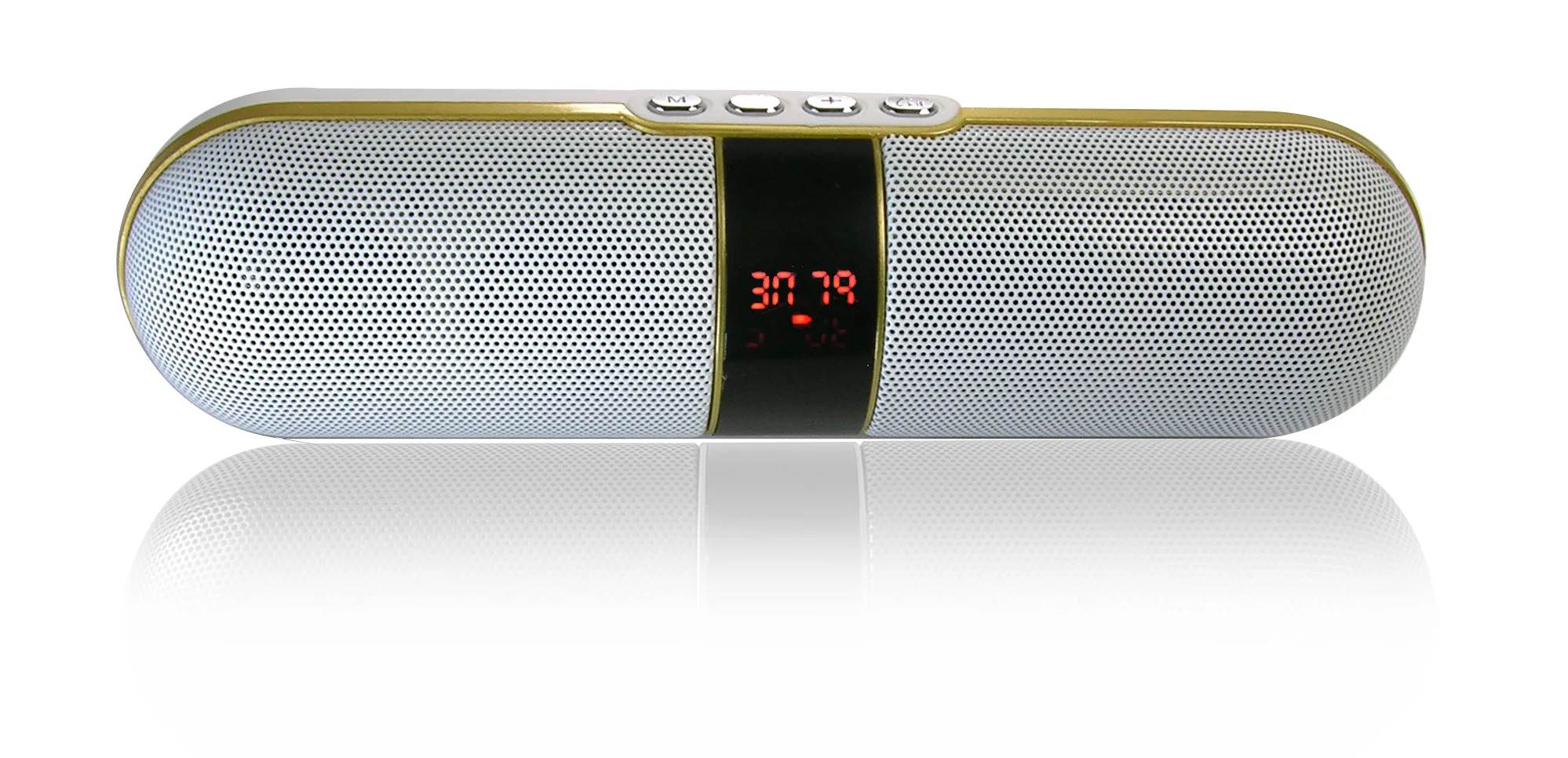 Portable Rechargeable Bluetooth Speaker with FM, USB, and Micro-SD Support