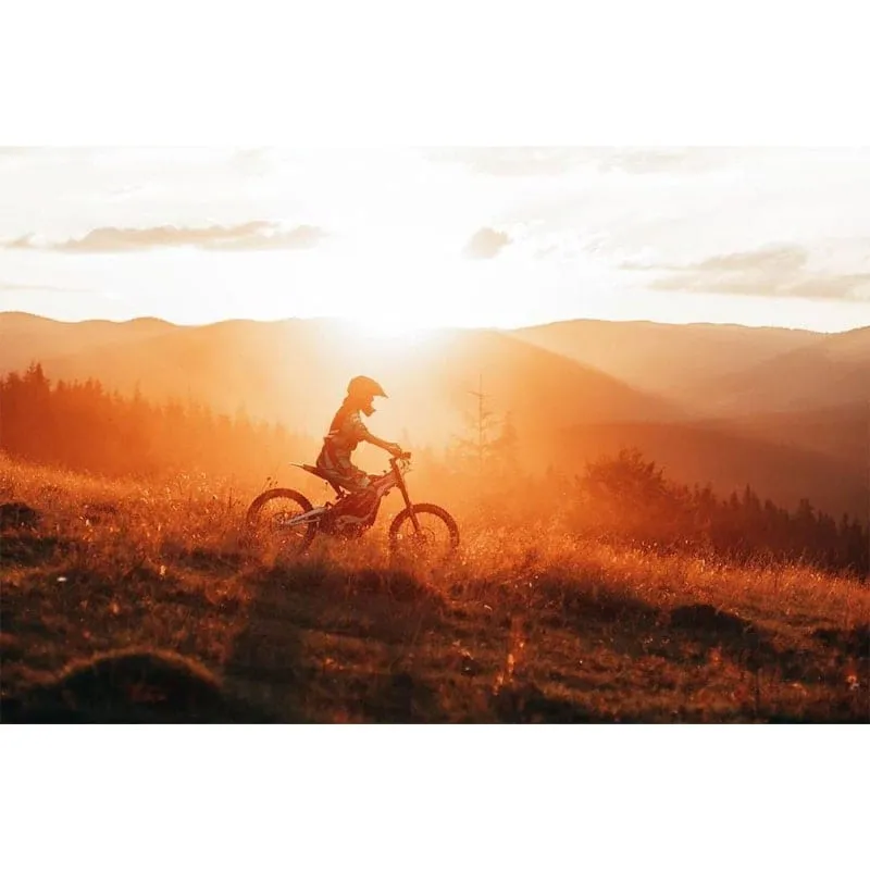 Sur-Ron Light Bee X Electric Dirt Bike