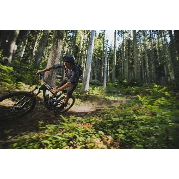 Trance X 2 29er Mountain Bike (2021)