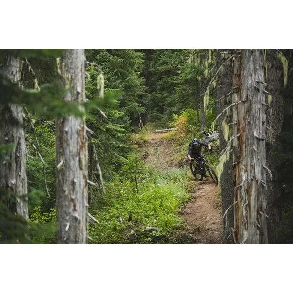 Trance X 2 29er Mountain Bike (2021)
